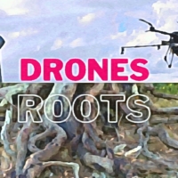 Η ρίζα και το Drone