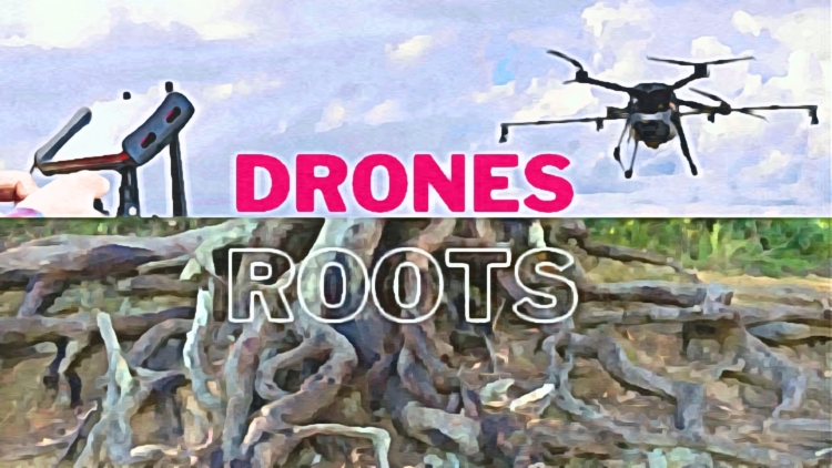 Η ρίζα και το Drone